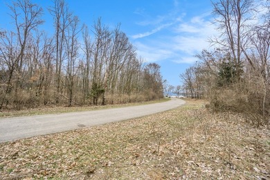 Rural neighborhood adjacent to Pleasant Lake, Lot #6 of Lakeview - photo 15