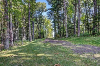 One-of-a-kind opportunity! This is the only parcel available - photo 17