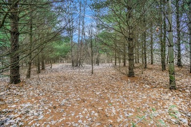 Rural neighborhood adjacent to Pleasant Lake, Lot #6 of Lakeview - photo 17