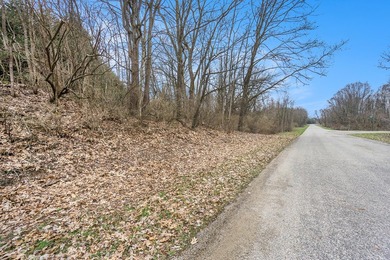 Rural neighborhood adjacent to Pleasant Lake, Lot #6 of Lakeview - photo 19