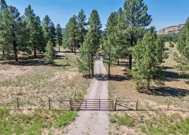 Ramah Reservoir Acreage For Sale in Ramah New Mexico
