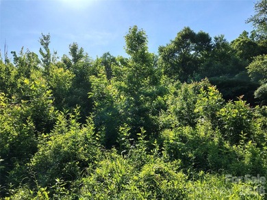 Close to half an acre, wooded lot on Mountain Island Lake - photo 2