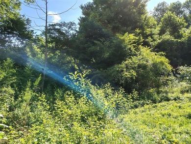 Close to half an acre, wooded lot on Mountain Island Lake - photo 3