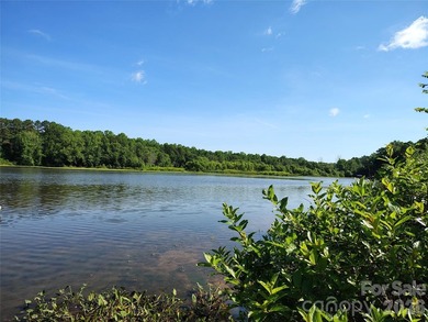 Close to half an acre, wooded lot on Mountain Island Lake - photo 4