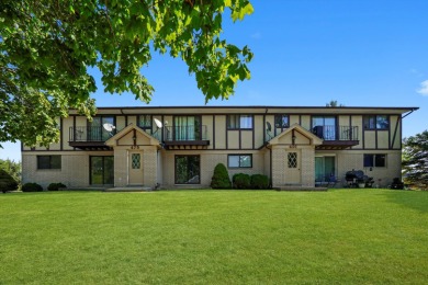 Lake Condo For Sale in Elgin, Illinois