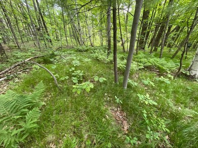 Discover the potential of this 5 + acre property on Pomroy Lake - photo 2