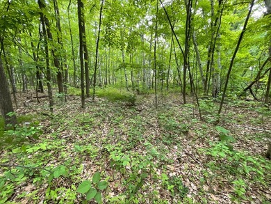 Discover the potential of this 5 + acre property on Pomroy Lake - photo 4