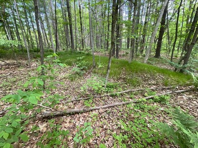 Discover the potential of this 5 + acre property on Pomroy Lake - photo 6
