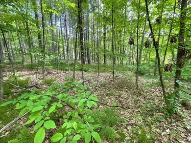 Discover the potential of this 5 + acre property on Pomroy Lake - photo 7