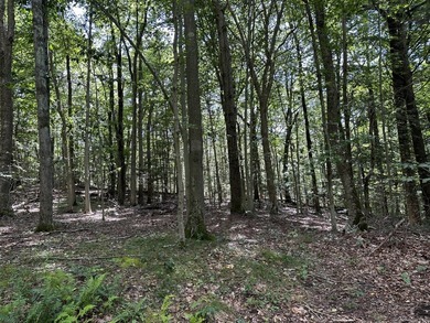 Discover a Hidden Gem in North Stamford - South Brook Drive!! - photo 9