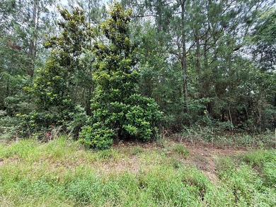 Beautiful waterfront lot offering the perfect setting for your - photo 1
