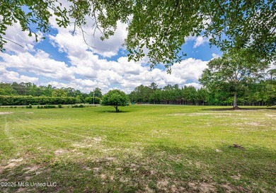 Tucked away on nearly 10 beautiful acres in Saucier, this - photo 14