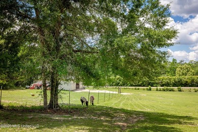 Tucked away on nearly 10 beautiful acres in Saucier, this - photo 17