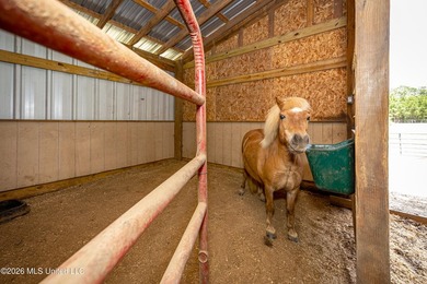 Tucked away on nearly 10 beautiful acres in Saucier, this - photo 22