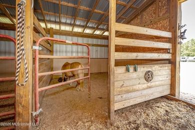 Tucked away on nearly 10 beautiful acres in Saucier, this - photo 23