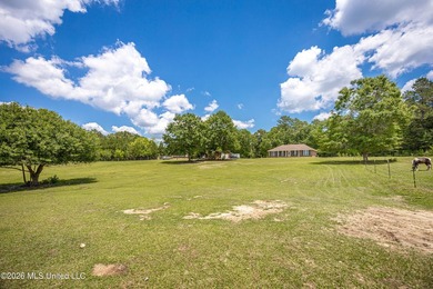 Tucked away on nearly 10 beautiful acres in Saucier, this - photo 30