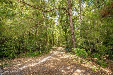 Tucked away on nearly 10 beautiful acres in Saucier, this - photo 31