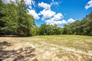 Tucked away on nearly 10 beautiful acres in Saucier, this - photo 32