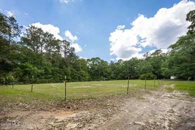 Tucked away on nearly 10 beautiful acres in Saucier, this - photo 34
