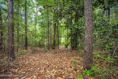 Tucked away on nearly 10 beautiful acres in Saucier, this - photo 35