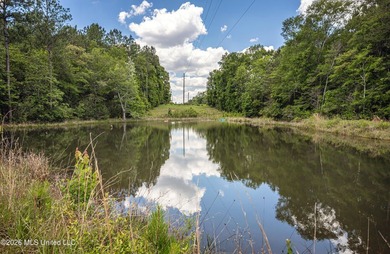 Tucked away on nearly 10 beautiful acres in Saucier, this - photo 36