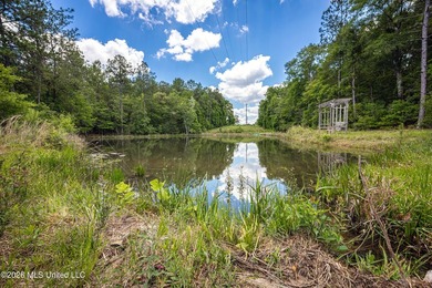 Tucked away on nearly 10 beautiful acres in Saucier, this - photo 37