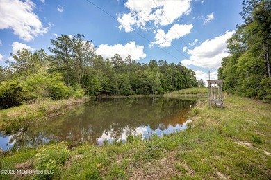 Tucked away on nearly 10 beautiful acres in Saucier, this - photo 38