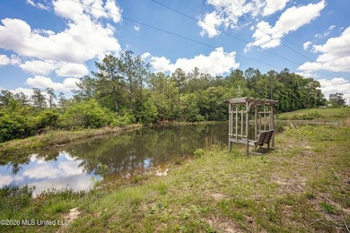 Tucked away on nearly 10 beautiful acres in Saucier, this - photo 39