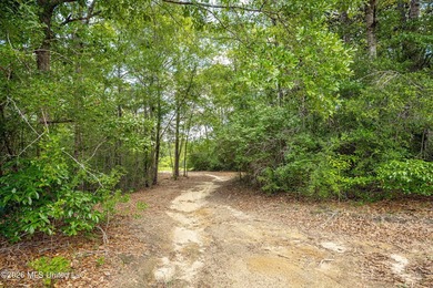 Tucked away on nearly 10 beautiful acres in Saucier, this - photo 40