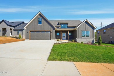 Lake Home For Sale in Johnson City, Tennessee