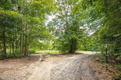 Tucked away on nearly 10 beautiful acres in Saucier, this - photo 43