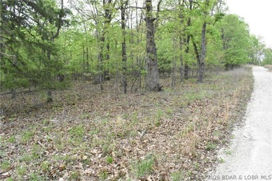 Rare opportunity to own 18.7 acres of beautiful, wooded land - photo 4