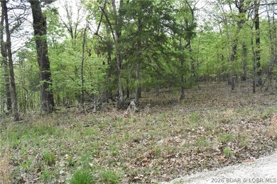 Rare opportunity to own 18.7 acres of beautiful, wooded land - photo 5