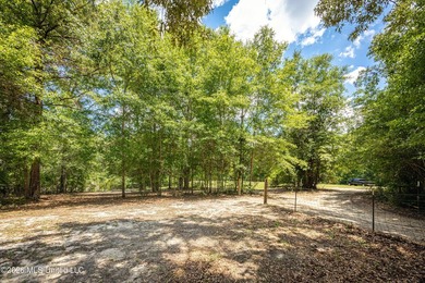 Tucked away on nearly 10 beautiful acres in Saucier, this - photo 45