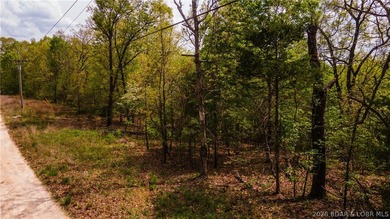 Rare opportunity to own 18.7 acres of beautiful, wooded land - photo 6