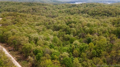 Rare opportunity to own 18.7 acres of beautiful, wooded land - photo 7