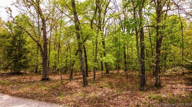 Rare opportunity to own 18.7 acres of beautiful, wooded land - photo 8