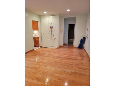 Charming 1 Bedroom Coop in Heart of Great Neck for Sale - photo 4