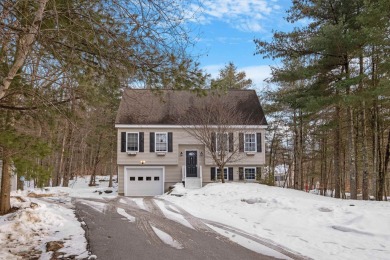 Shaws Pond Home Sale Pending in New Durham New Hampshire