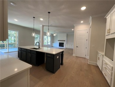 Penny Plan Lot 55: 5BR/ 4.5BA NEW CONSTRUCTION! showcases a - photo 12