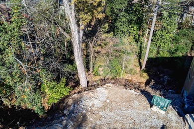 Yes!! You have the opportunity to build your new home in one of - photo 18