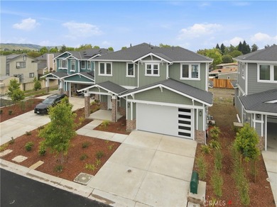 Welcome to this amazing newer-construction home located in the - photo 47