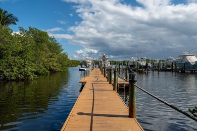 Designed by architect Brian Shores, this Intracoastal waterfront - photo 48