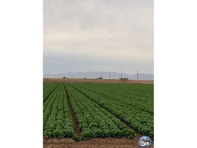 Salton Sea Lake Acreage For Sale in Westmorland California