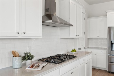 Welcome home to this better-than-new Jackson floor plan - photo 28