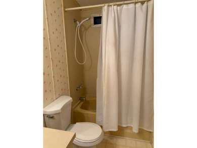 OWNER OPEN TO ALL REASONABLE OFFERS! IMMACULATE 2 BED 2 BATH - photo 39