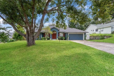 Lake Home Sale Pending in Clermont, Florida