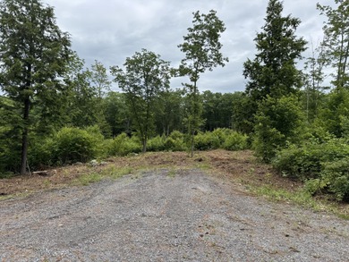 Pleasant Pond / Cobbosseecontee Stream Lot For Sale in West Gardiner Maine