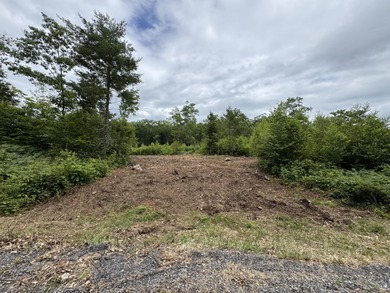 Pleasant Pond / Cobbosseecontee Stream Lot For Sale in West Gardiner Maine