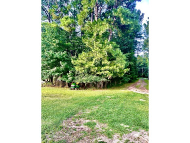 Lake Eddins Lot Under Contract in Pachuta Mississippi